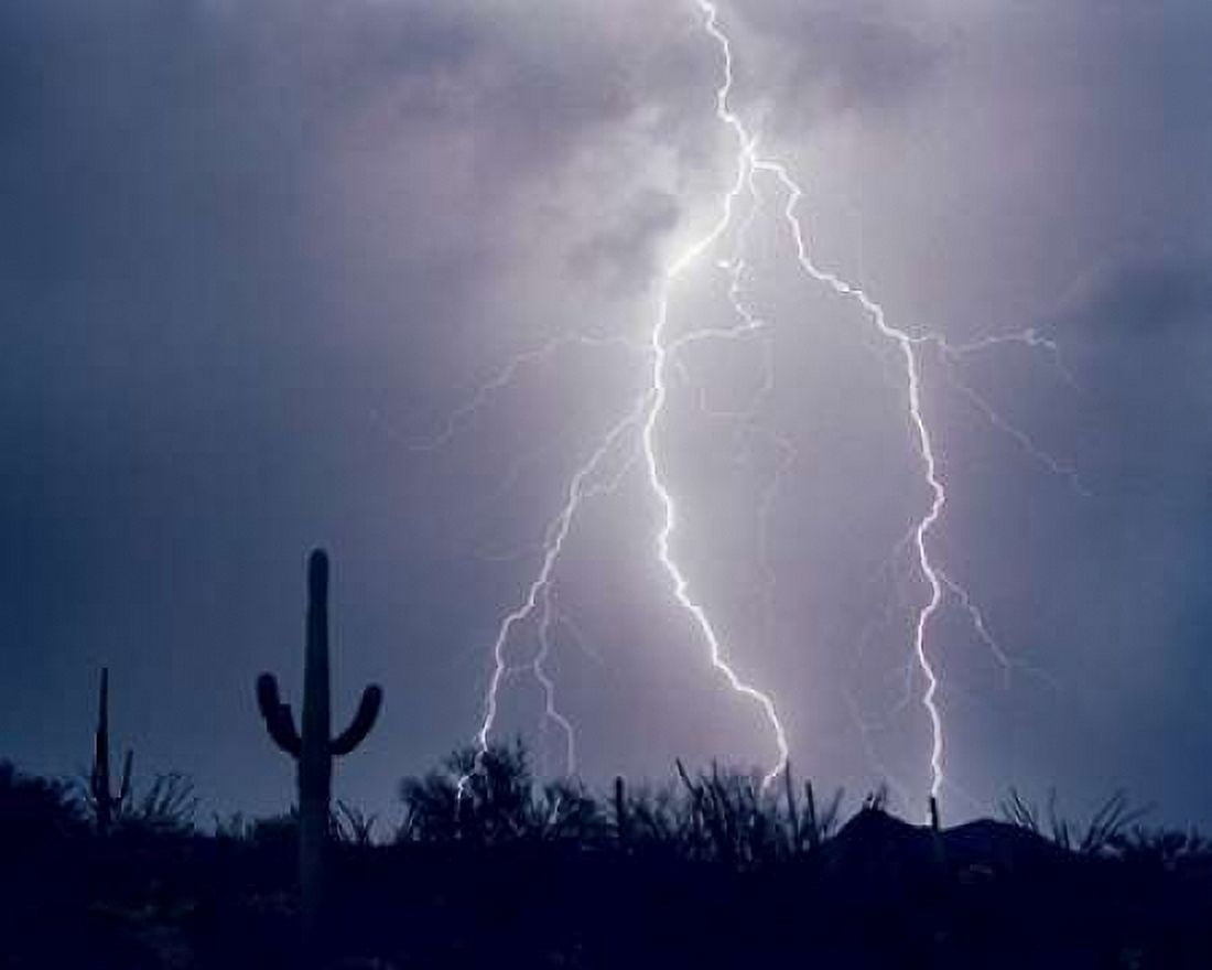 Electric Desert I Canvas Art - Douglas Taylor (24 x 30)