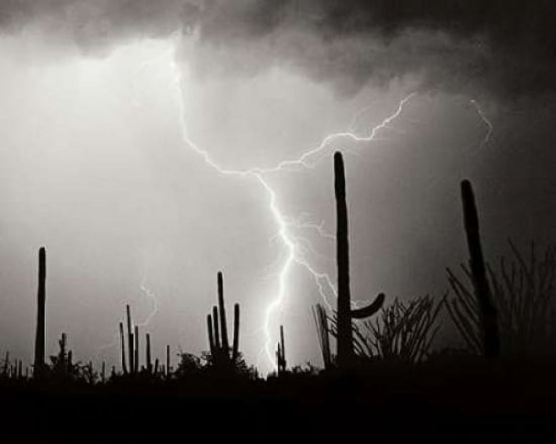Electric Desert II - BW Canvas Art - Douglas Taylor (24 x 30)