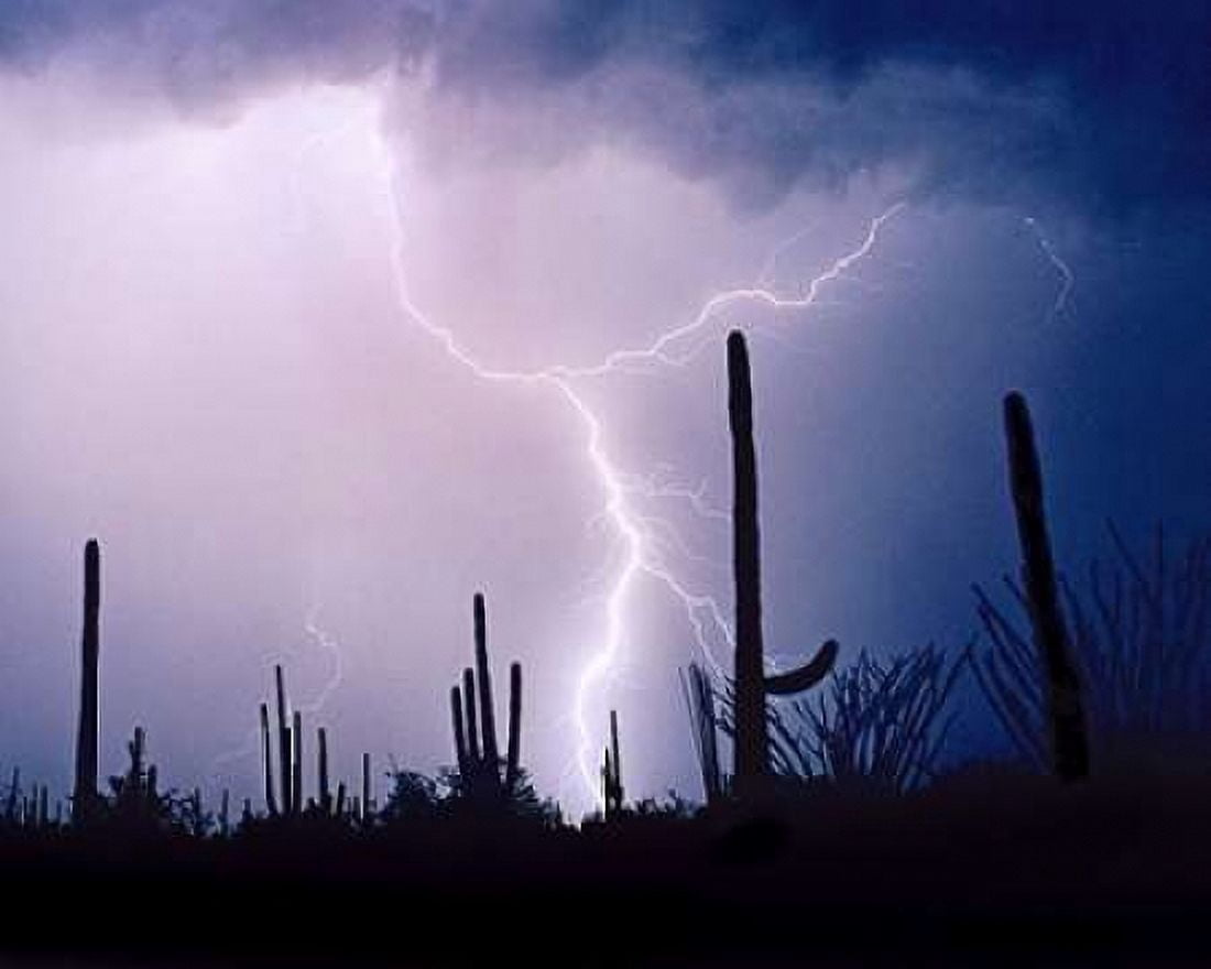Electric Desert II Canvas Art - Douglas Taylor (24 x 30)
