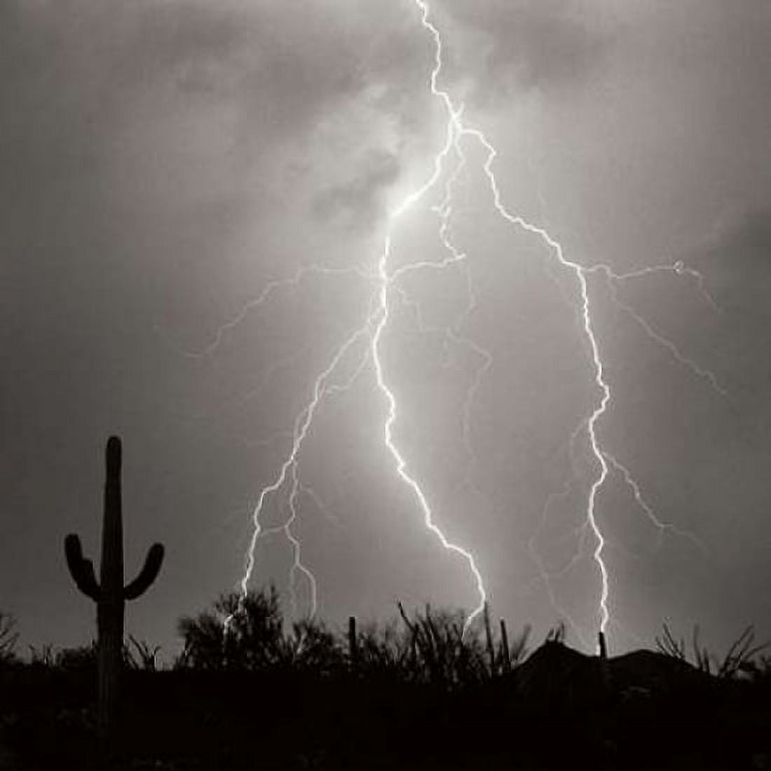 Electric Desert III - BW Canvas Art - Douglas Taylor (24 x 24)