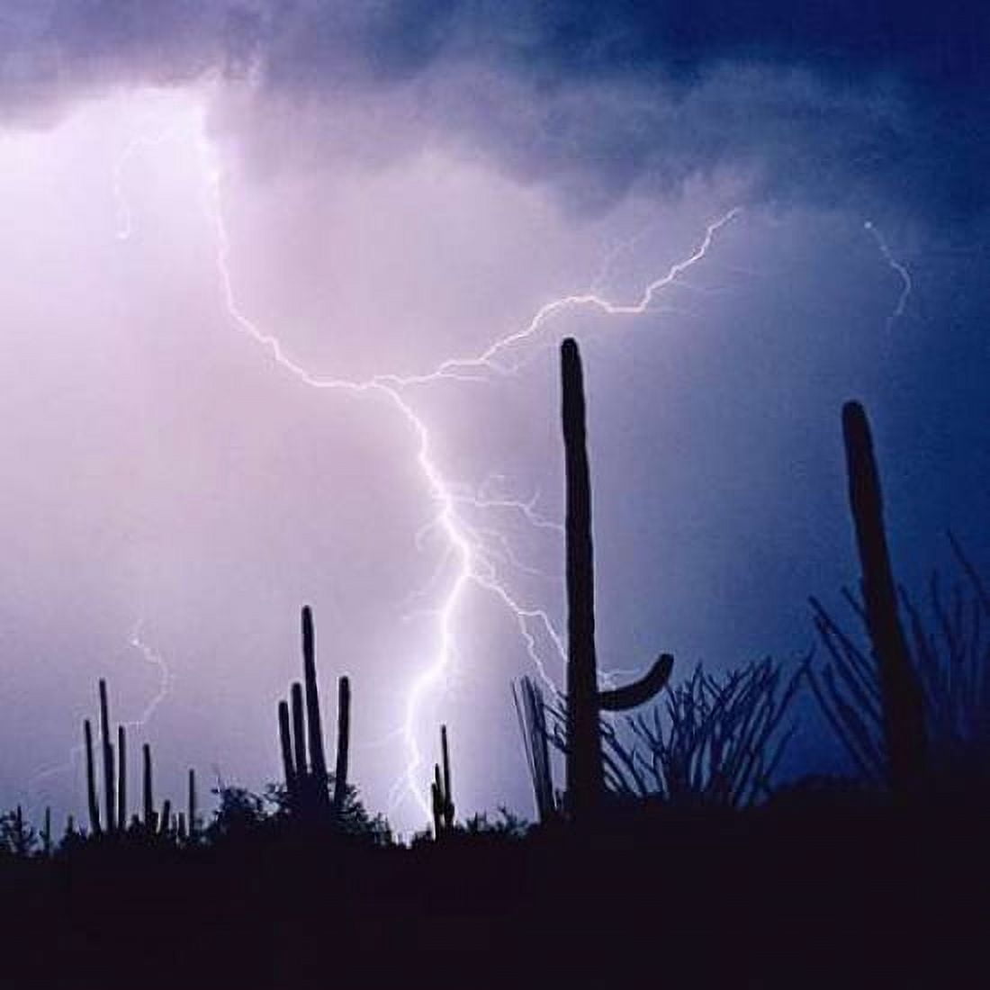 Electric Desert IV Canvas Art - Douglas Taylor (24 x 24)