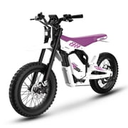 Electric Dirt Bike for Teens Adults, 3000W Peak Motor, 60V 27Ah Removable Battery, 50 Miles, 42MPH 20"x4.0 Fat Tires, Mountain off Road E Bicycle