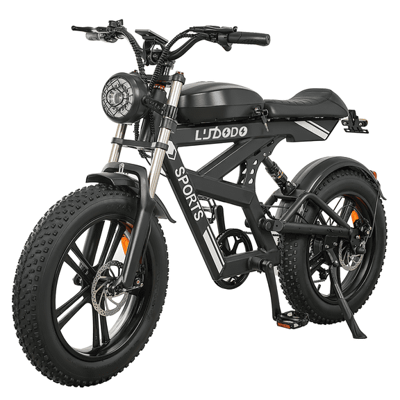 EOEOTWO Electric Bike for Adults, 750W (Peak 1500W) Electric Dirt Bike, 34MPH Fast Ebike with 48V 17.8Ah Removable Battery, 75 Miles Long Range, 20"x4.0 Fat Tire All-Terrain E-Bicycle, Dual Shock Abs