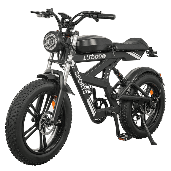 EOEOTWO Electric Bike for Adults, 750W (Peak 1500W) Electric Dirt Bike, 34MPH Fast Ebike with 48V 17.8Ah Removable Battery, 75 Miles Long Range, 20"x4.0 Fat Tire All-Terrain E-Bicycle, Dual Shock Abs