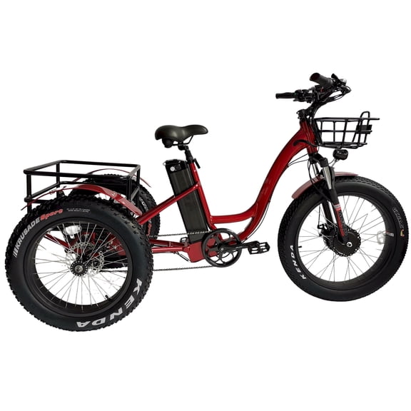 Electric Fat Tire Trike 750W Motor, 30 MPH Speed, Off-Road Three-Wheel Electric Bike
