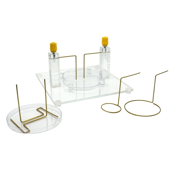 Electric Field Apparatus - For Demonstrating Electric Field Shapes - Eisco Labs