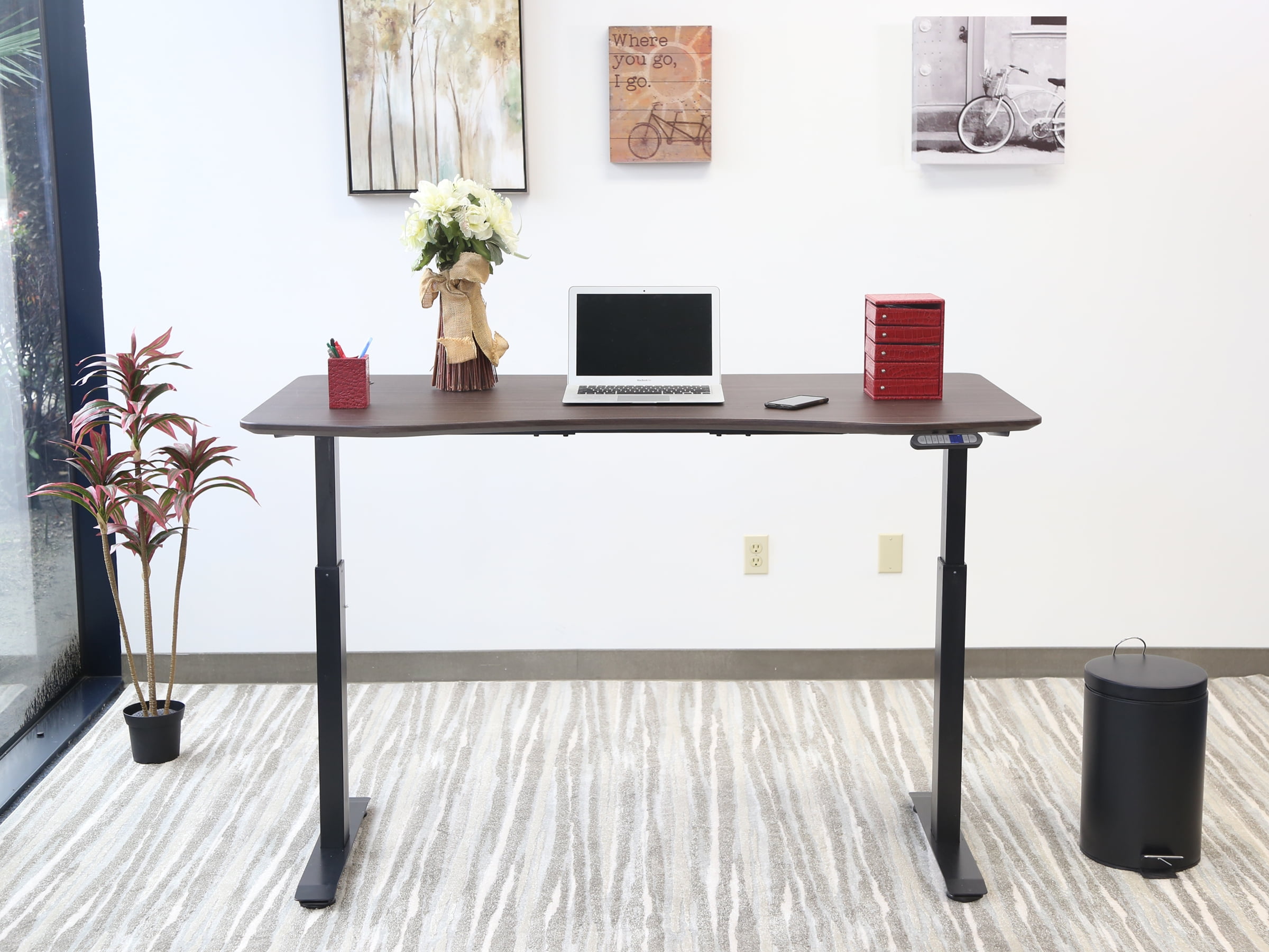 MotionWise Manager Series Dual Motorized Rising Sit/Stand Desk for Home ...