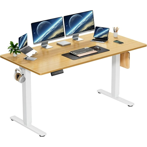 Electric Height Adjustable Standing Desk, 48x24 Inches, Ergonomic Sit-to-Stand Rising Computer Table for Home Office