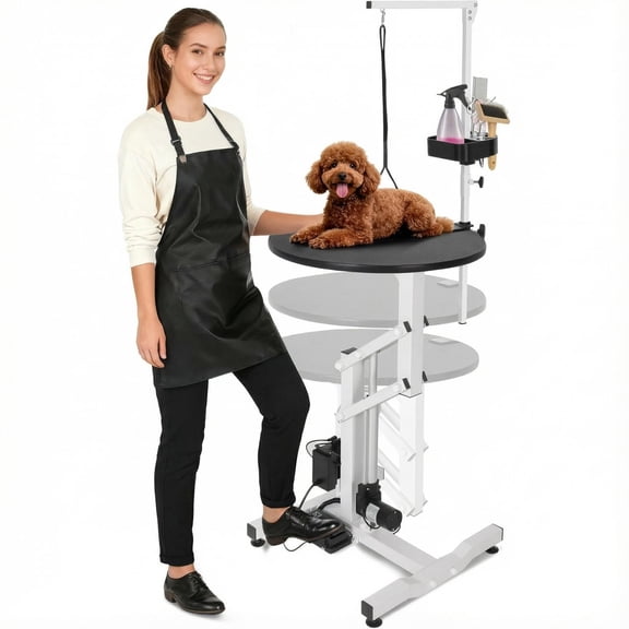 Electric Hydraulic Lift Pet Dog Grooming Table, 24 Inch Rotating Grooming Desktop for Small Pet, with Overhead Arm, Foot Remote, Tool Organizer, Capacity 250LBS