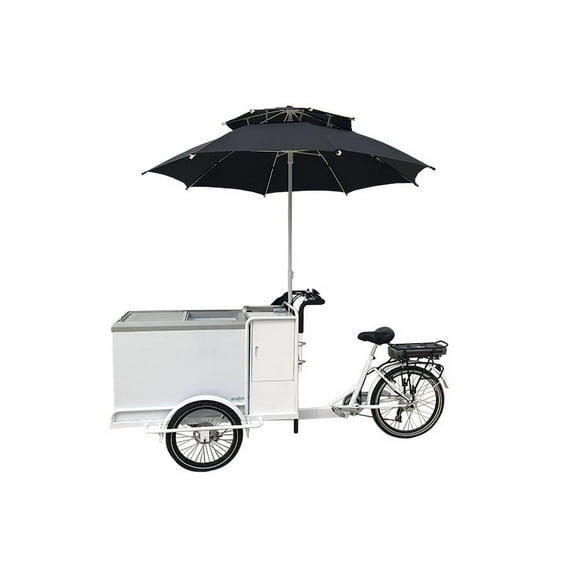 Electric Ice Cream Cart for Sale | Three-Wheel Vending Trike with Battery and Charger