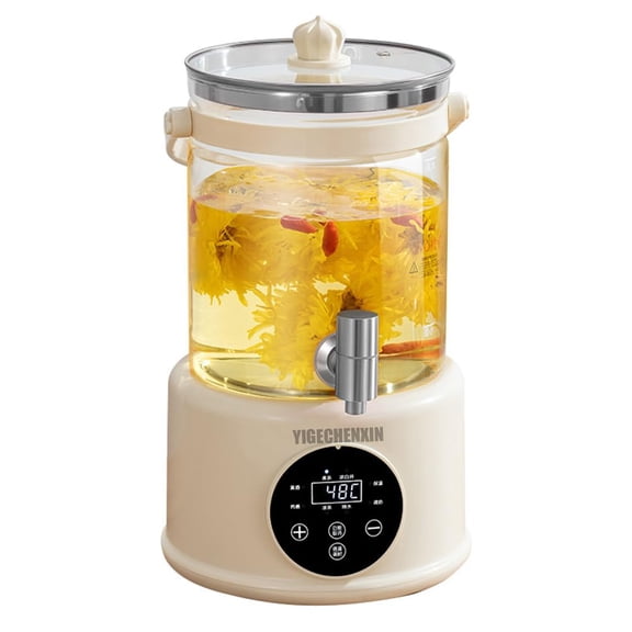 Electric Kettle 1000W Fast Heating 4L with Tea Infuser and Temperature Control - Multifunctional Glass Health Pot for Tea, Soup, and Porridge