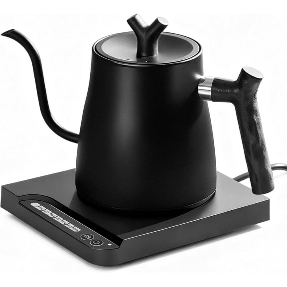 Electric Kettle Electric Pour Over Kettle with Variable Temperature Control 100% Stainless Steel Interior Keep Warm & Auto Shut-Off 1.0L Fast Boil for Coffee & Tea Matte Black