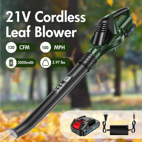 Electric Leaf Blower Cordless, 21V Leaf Blower with Extension Tube, 5C 3000mah Battery and Charger, Green