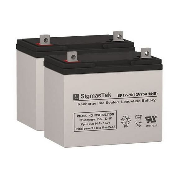 Electric Mobility Rascal 645 Powerchair Wheelchair Batteries (Replacement)