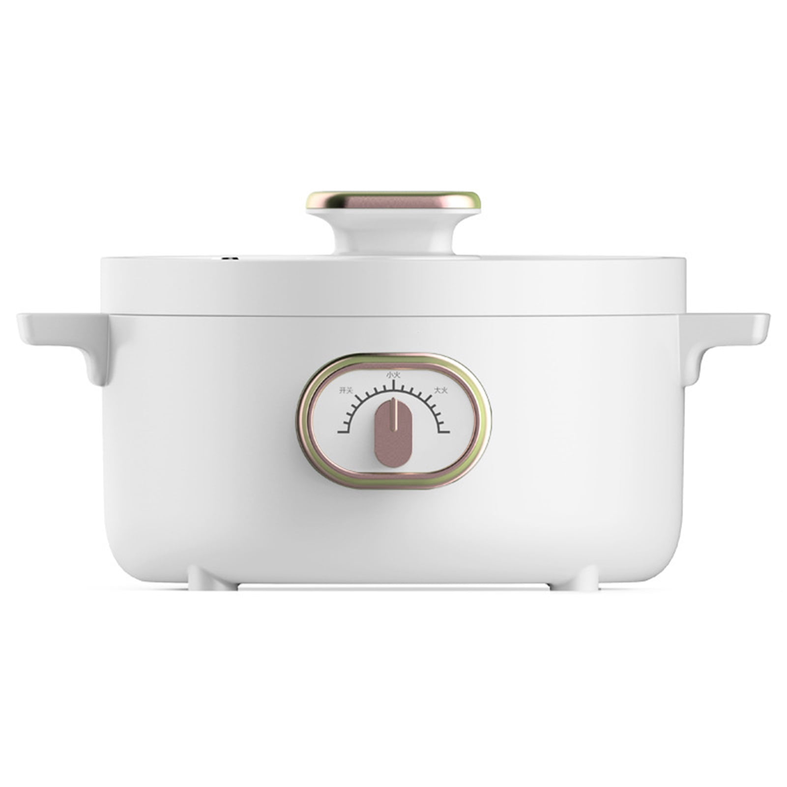 Electric Pot Multifunctional Household Fast Heating Electric Pot For Dormitory AC 220V CN Plug