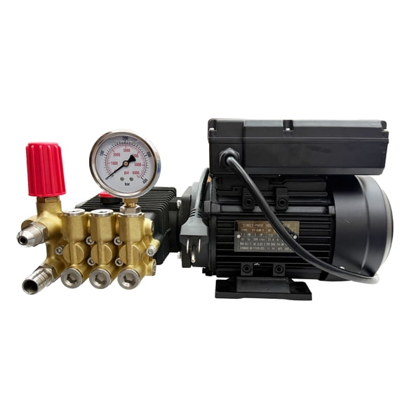 Electric Pressure Washer Portable Pressure Cleaning Pump with Water Gun 11-13L/min 110V