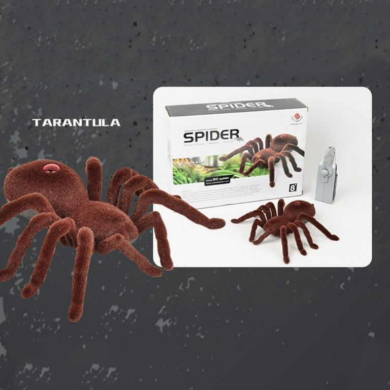 Fake spider remote control top
