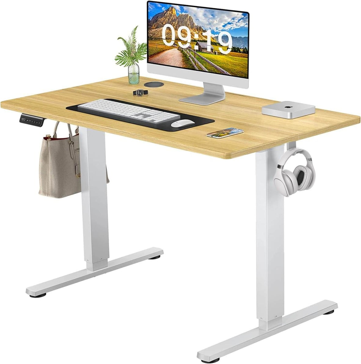 Electric Rising Desk Wood Height Adjustable Standing Desk with Drawer Control Panel Side Hook Ergonomic Computer Desk Workstation for Office