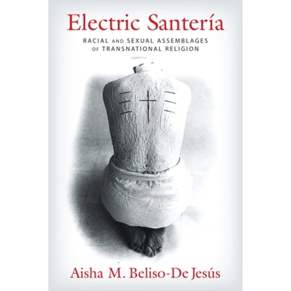Pre-Owned Electric Santería: Racial and Sexual Assemblages of Transnational Religion (Paperback) 0231173172 9780231173179