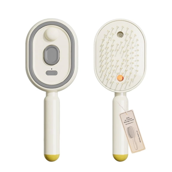 Electric Spray Air Cushion Massage Comb, Spray and Massage Hair Brush with water spray, Self-Cleaning Anti-Tangle,Anti-Static for Frizzy Hair Scalp Care