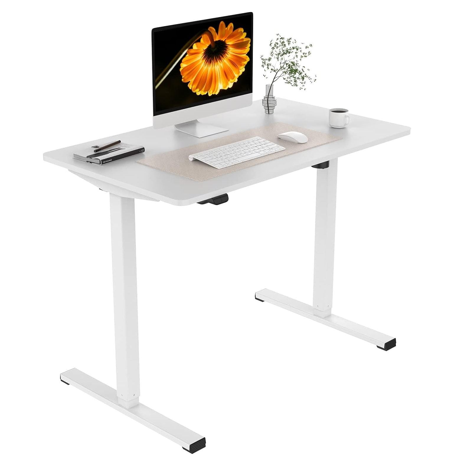 Electric Standing Desk 40 x 24 Inches, Height Adjustable Stand Up Desk