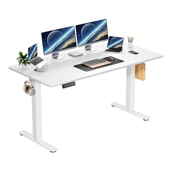Electric Standing Desk 48x24 Inch, Height Adjustable Sit Stand Desk Converter, Ergonomic Computer Table for Home Office, Black Frame & Natural Desktop