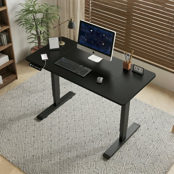 Electric Standing Desk 55", Height Adjustable Desk with LED Display & Type-C Port, Black Computer Desk for Home Office, Gaming Desk with Memory Settings, 176LBS Capacity