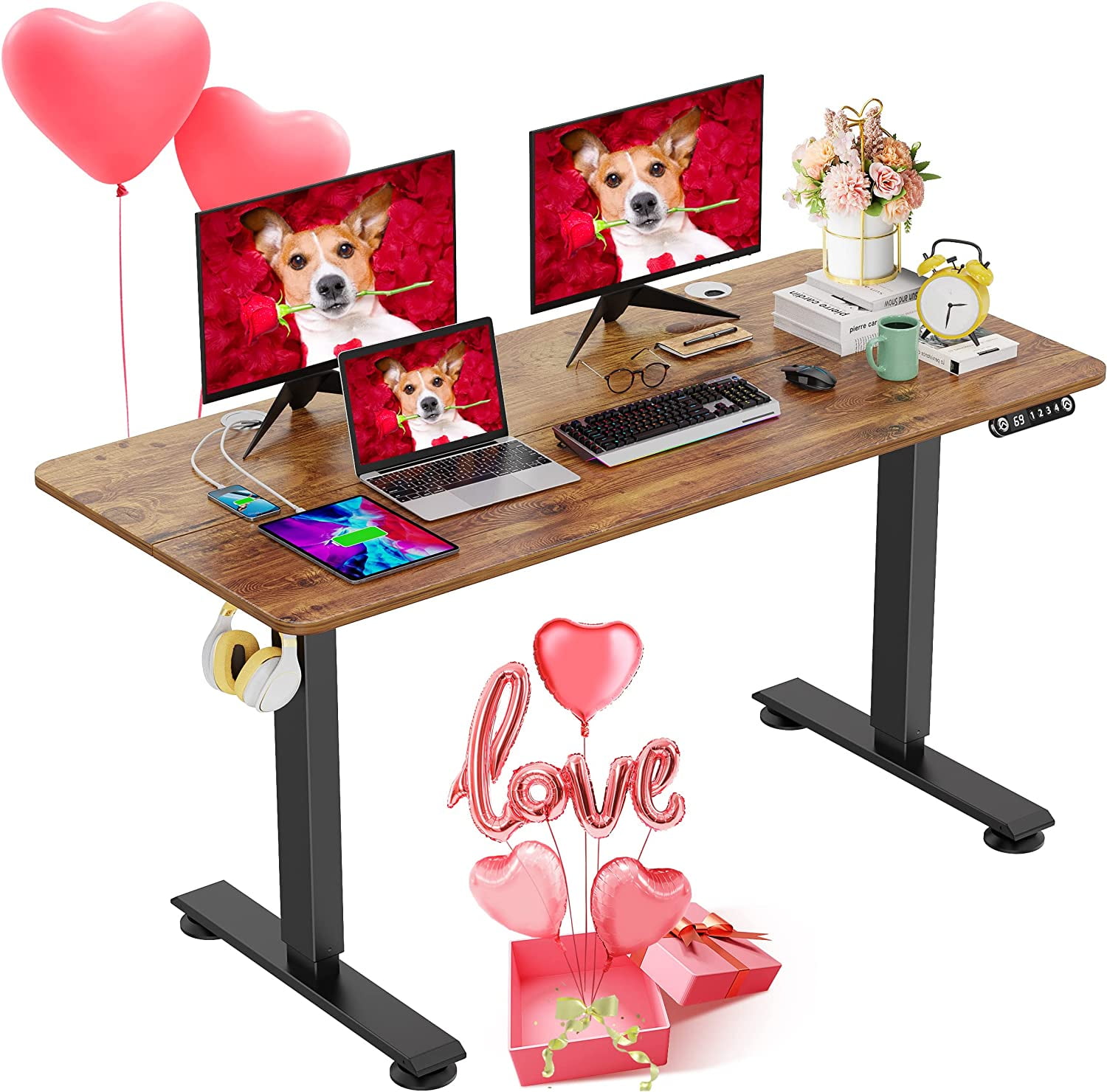 Electric Standing Desk Adjustable Height 48 x 24 inch Sit Stand Desk