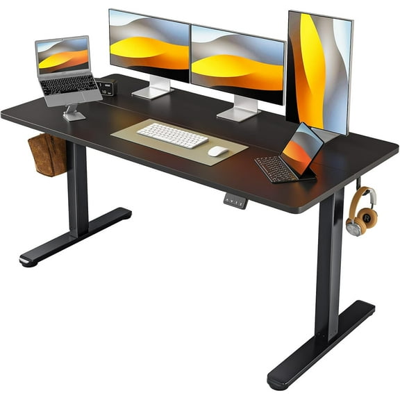 Electric Standing Desk Height Adjustable, 55 x 24 Inches Sit Stand up Desk, Home Office Computer Desk Rising Memory Presets (Black)