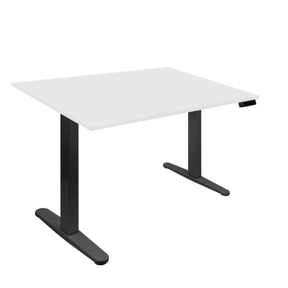 Electric Standing Desk with 48" Tabletop