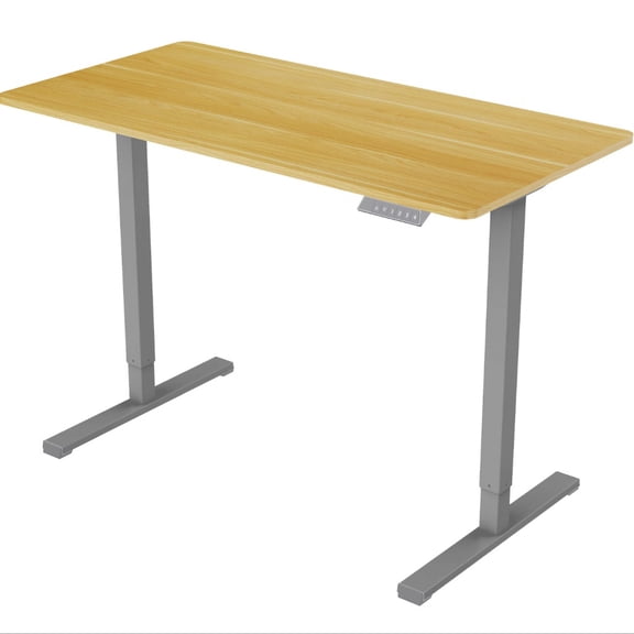 Electric Standing Desks Adjustable Height Desks,48 x 24 inches