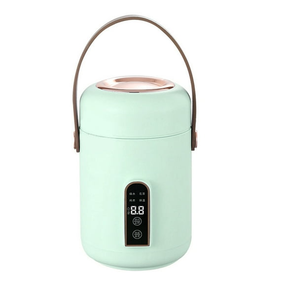 Electric Stewpot, Portable Multifunction Soup Porridge Stewpot, Removable Non-Stick Rice Pot for Home Office Dorm (Mint Green)