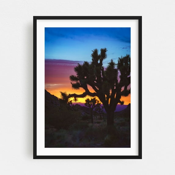 Electric Sunset in Joshua Tree National Park - California Photography Black Framed Wall Art Print 24 x 36 inches