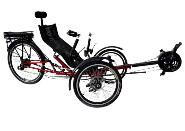 Tadpole trike on sale