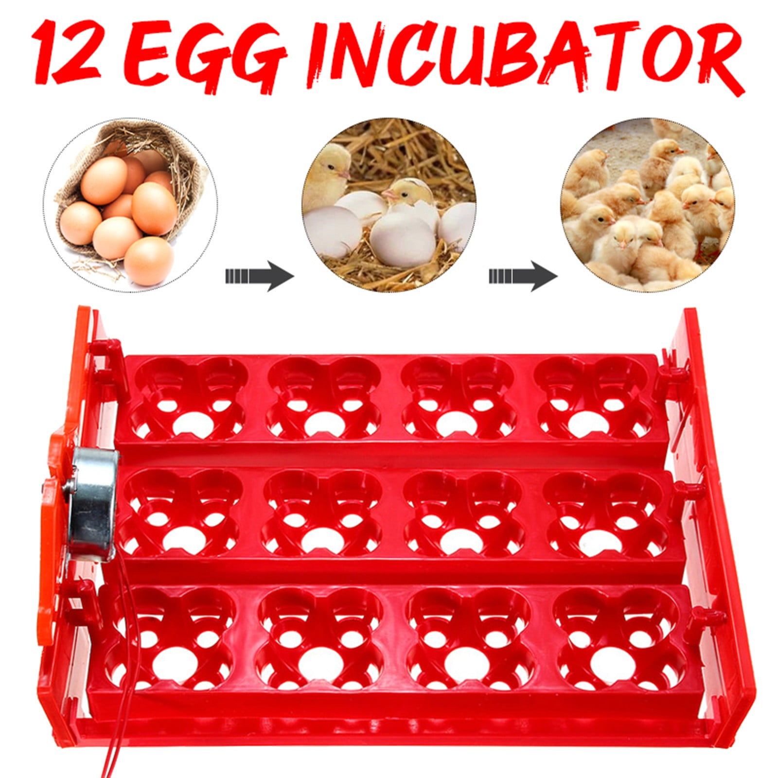 Electric Tool 110V Eggs Chicken Turning Birds Eggs Automatic For Quail electric-tool-110v-eggs-chicken-turning-birds-eggs-automatic-for-quail