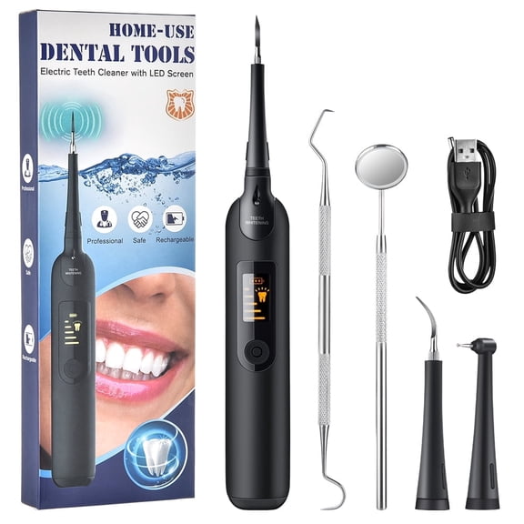 Electric Tooth Cleaner with 5 Intensity Levels, 1pc Replaceable Cleaning Heads, LED Light, Stain Removal, IPX6 Waterproof, USB Rechargeable for Teeth Whitening
