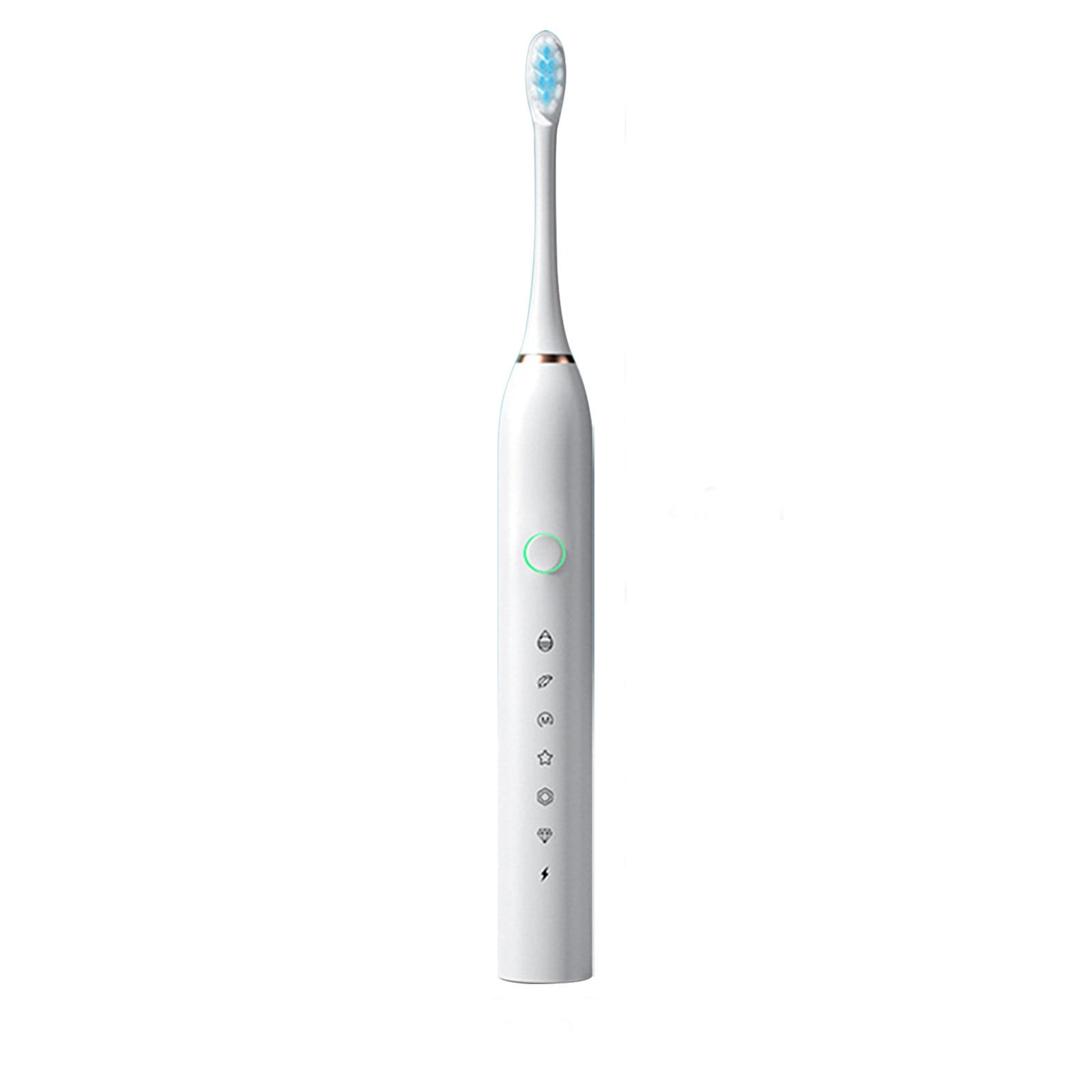 Electric Toothbrush with 4 Brush Heads A Stand and Travel Case 6 Modes