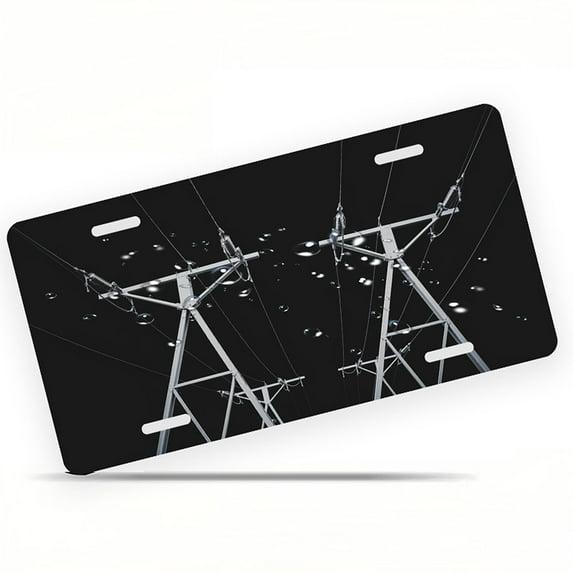 Electric pole Funny Personalized License Plate Rust-proof Stainless Steel Metal License Plate Suitable For Men And Women 12.2" x 6.2"