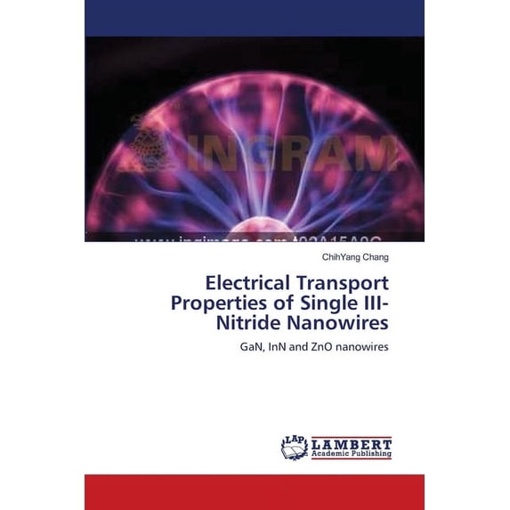 Electrical Transport Properties of Single III-Nitride Nanowires (Paperback)