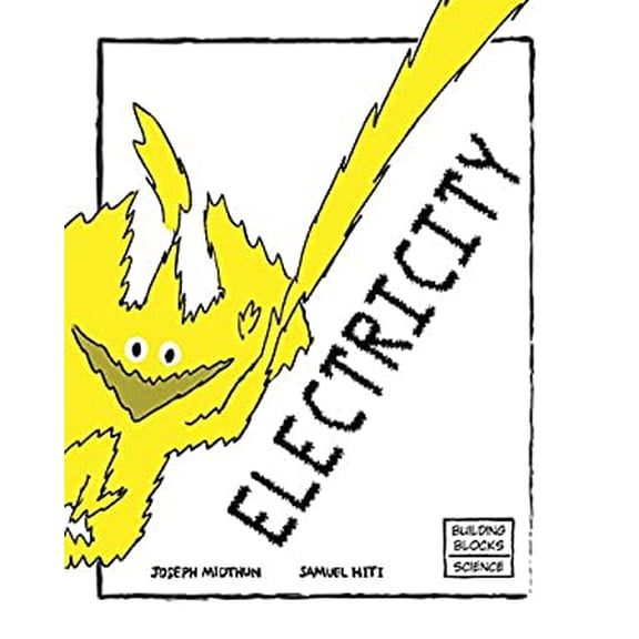 Pre-Owned Electricity (Paperback) 0716614634 9780716614630