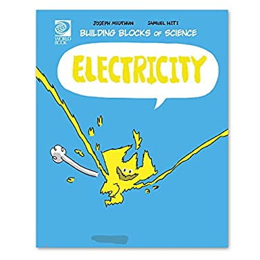 Pre-Owned Electricity (Hardcover) 0716614219 9780716614210