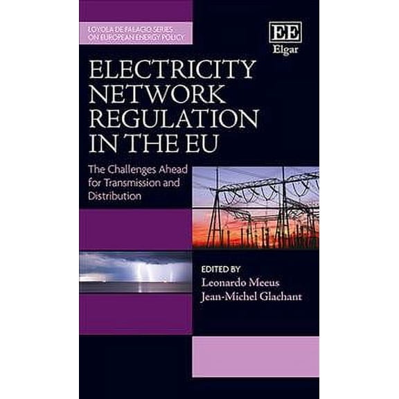 Electricity Network Regulation in the EU : The Challenges Ahead for Transmission and Distribution