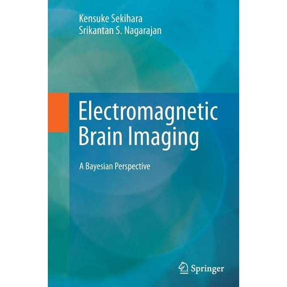Electromagnetic Brain Imaging: A Bayesian Perspective, (Paperback)