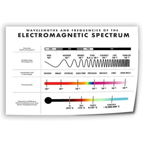 Electromagnetic Spectrum Science Educational Poster 4 Canvas Art Wall Printing Office Bedroom Aesthetic Living Room