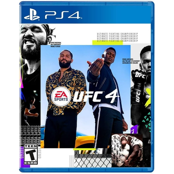 Electronic Arts EA Sports UFC 4 (PlayStation 4)