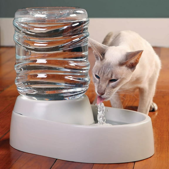 Electronic Pet Water Fountain and Dish - Automatic for Cats Dogs - Black