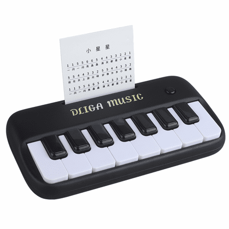 Electronic Piano Keyboard Toys with Dynamic Lights, Musical Instruments for Toddlers Ages 3-5 Birthday Gifts(Black)