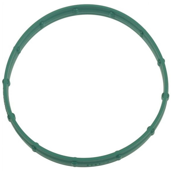 Electronic Throttle Body (ETB) Gasket