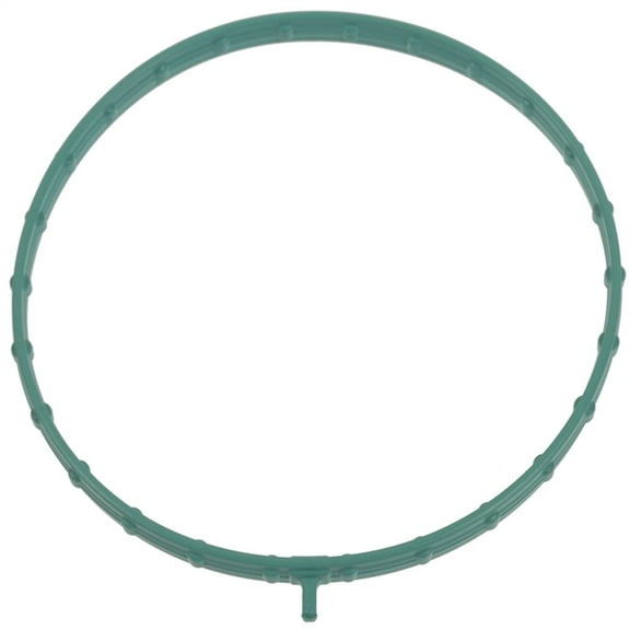 Electronic Throttle Body (ETB) Gasket