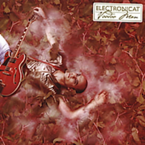 Electronicat - Voodoo Man - Electronica - CD